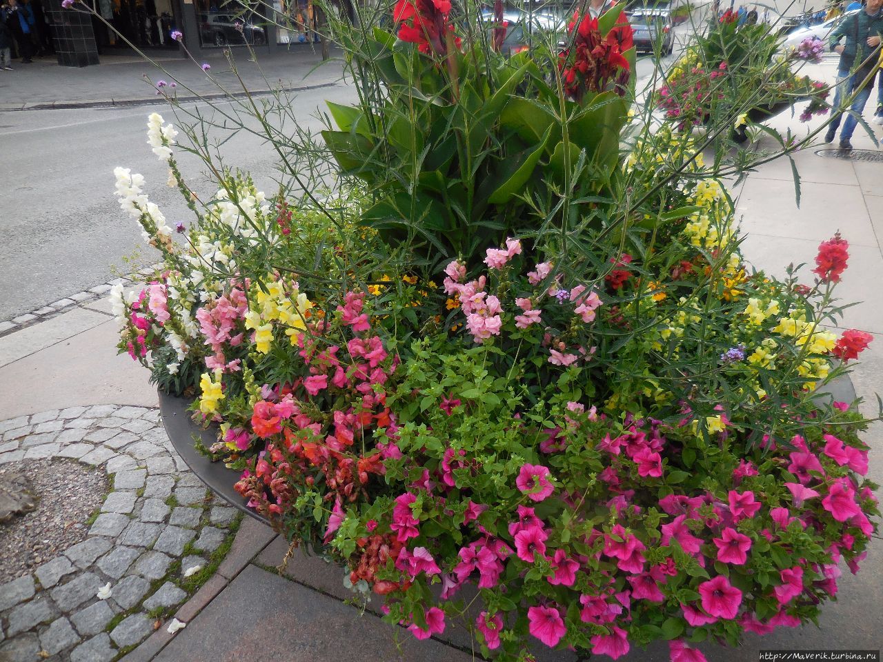 Молде — знакомство с Молде — знакомство с