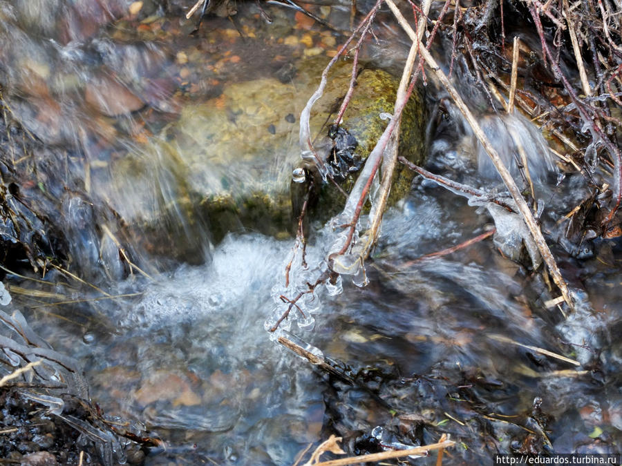Оттаиваем и зеленеем))) Красноярск, Россия Оттаиваем и зеленеем))) Красноярск, Россия