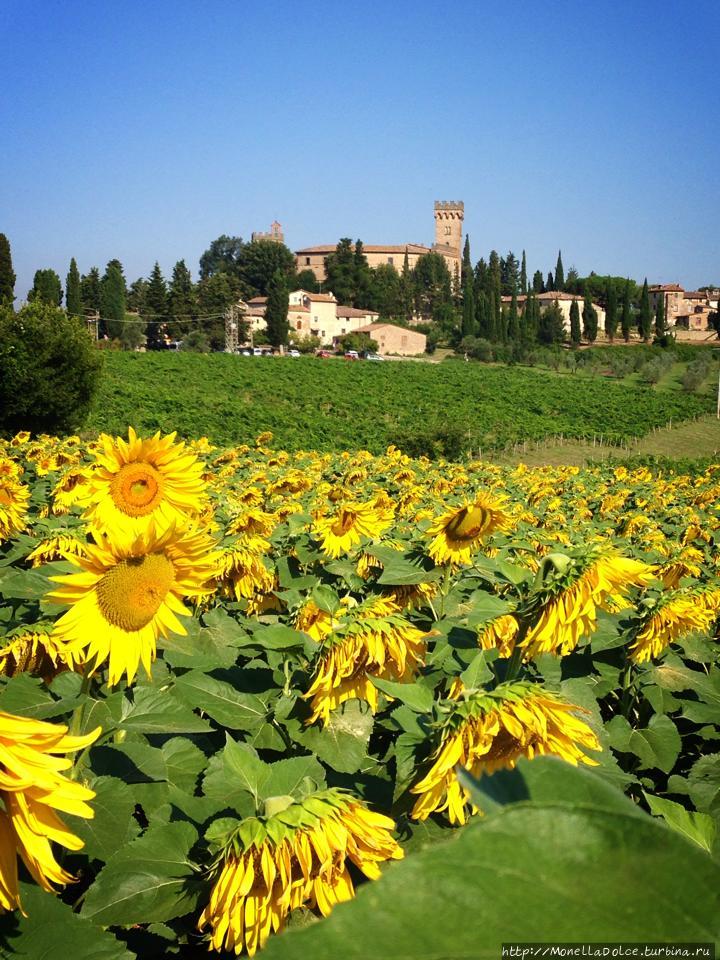 Кастэлло ди Поппиано ди Монтэспэртоли / Castello di Poppiano di Montespertoli