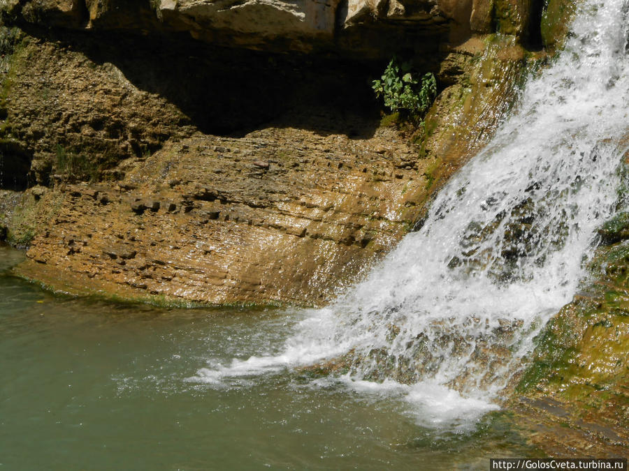 Возрождение Возрождение