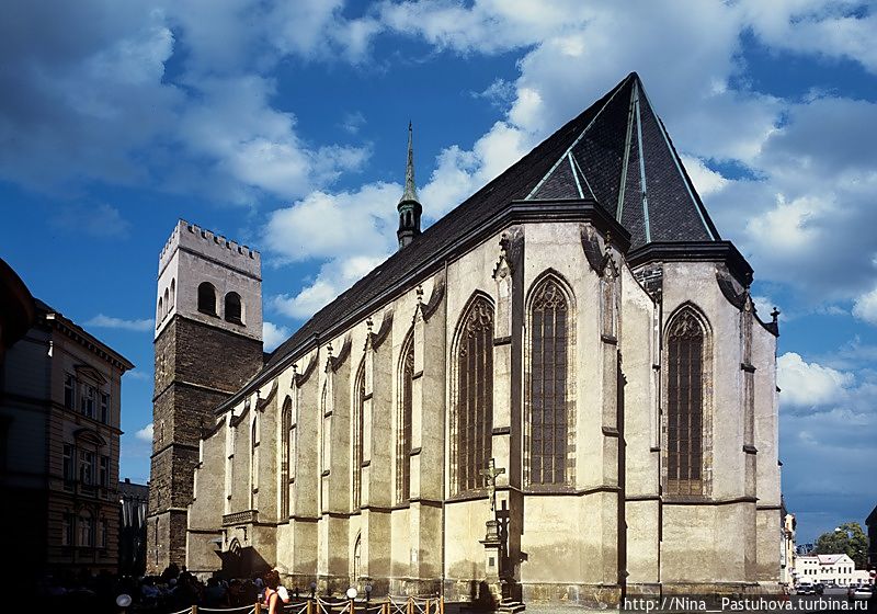 Фото из Википедии Фото из Википедии