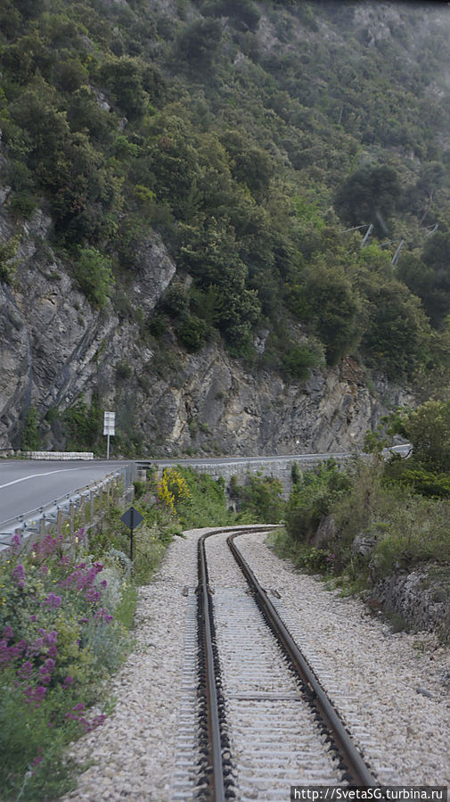 Прокатиться на Поезде сосновых шишек Прованс-Альпы-Лазурный берег, Франция
