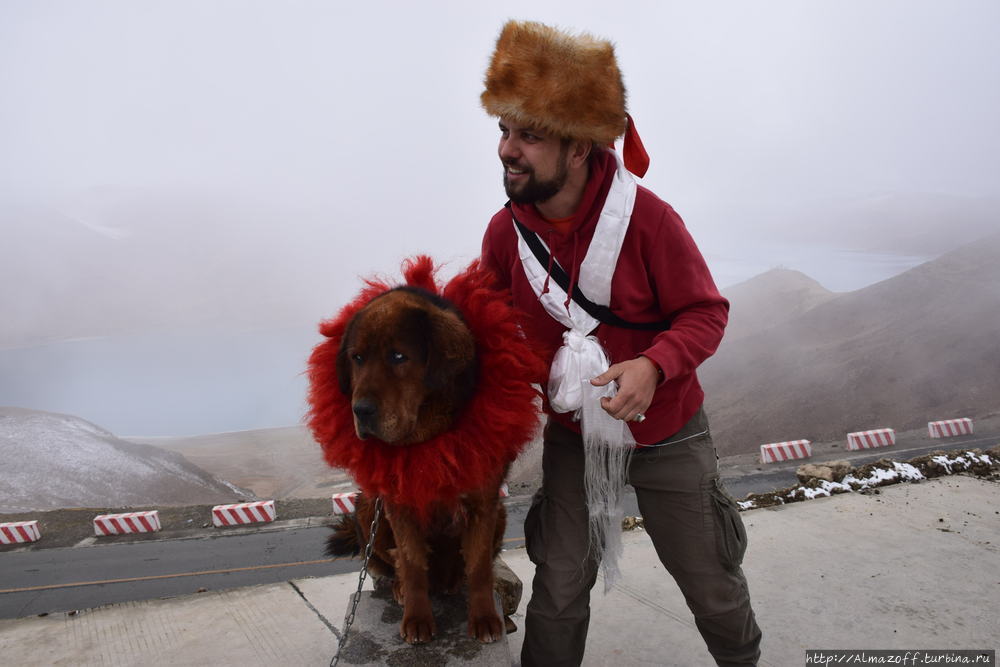 Андрей Алмазов в Тибете Озеро Ямдрок, Китай