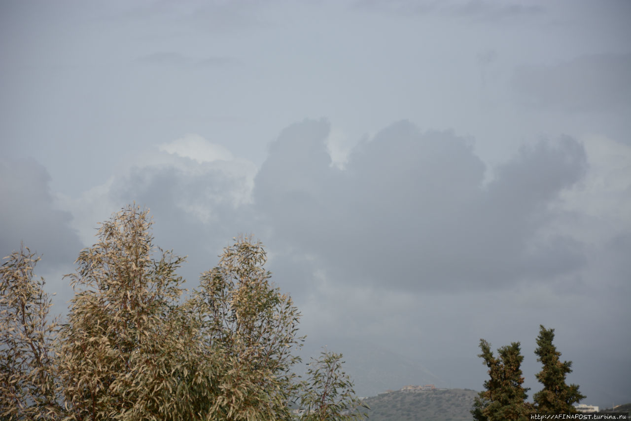 Все оттенки серого Все оттенки серого