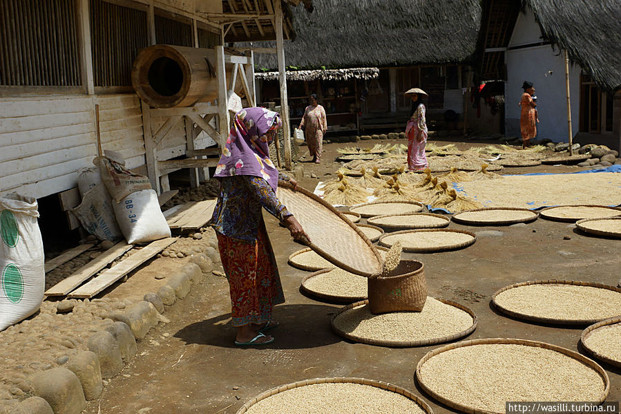 Работа кипит... Работа кипит...