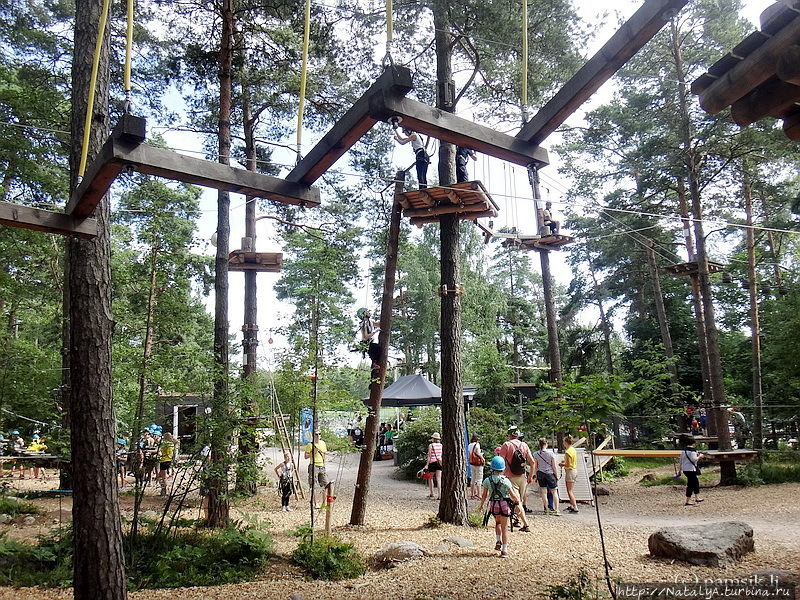 Верёвочный ПАРК ПРИКЛЮЧЕНИЙ KORKEE (Adventure Park Korkee) в Хельсинки, Финляндия