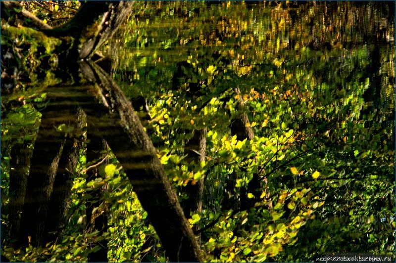 Осенняя река Россия Осенняя река Россия