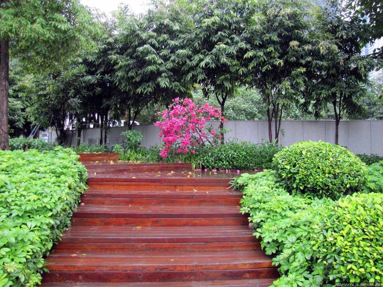 Город Гуанчжоу Гуанчжоу, Китай Город Гуанчжоу Гуанчжоу, Китай