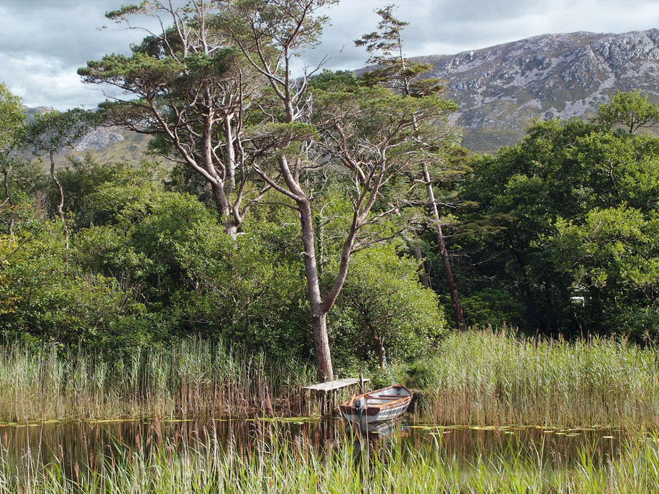 В плену неласкового края Коннемара Национальный Парк, Ирландия