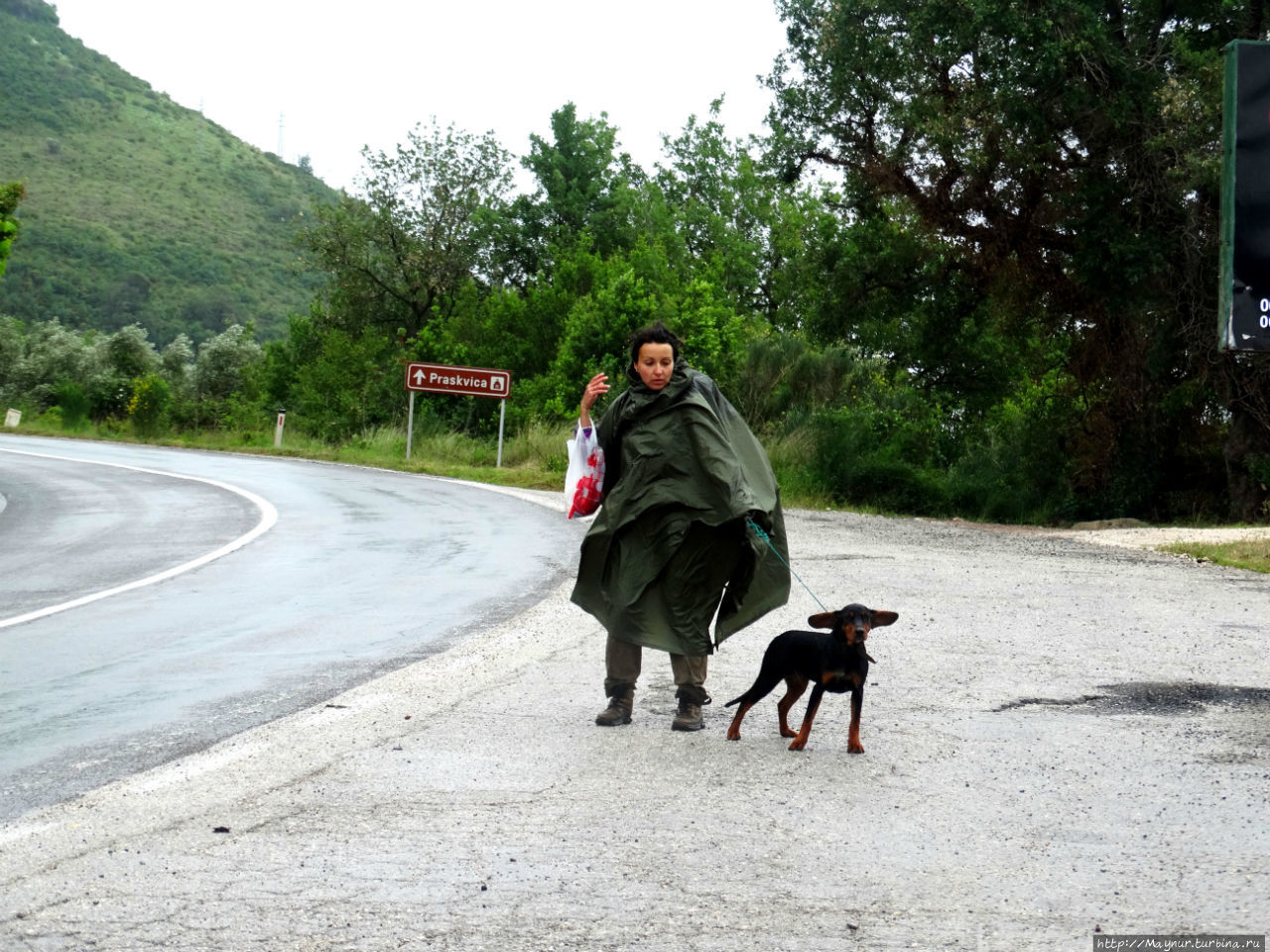 Удачная попытка уехать автостопом. Удивительно, но возьмут и ее, и мокрую  собачку. Будва, Черногория