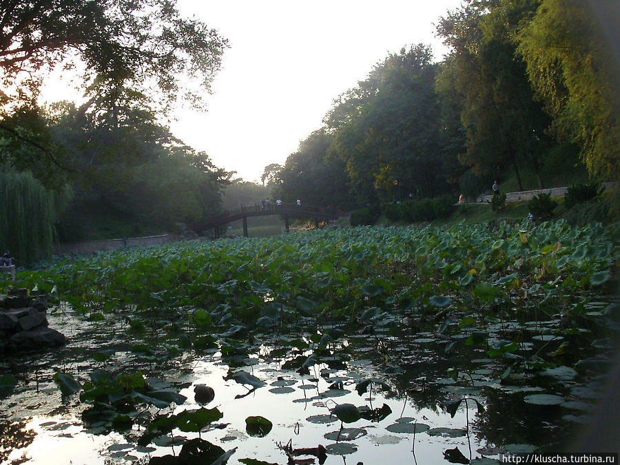 Удивительные места. Для медитации. Удивительные места. Для медитации.