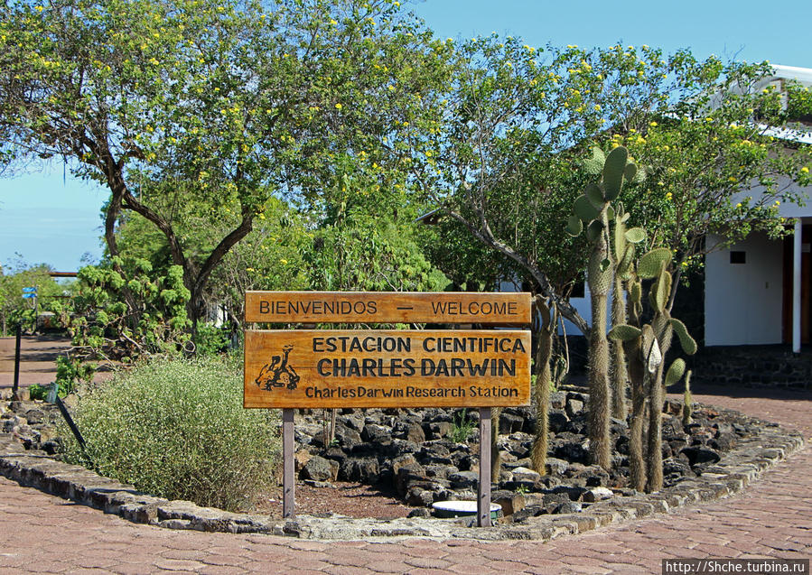 Исследовательская станция Чарльза Дарвина Пуэрто-Айора, остров Санта-Крус, Эквадор