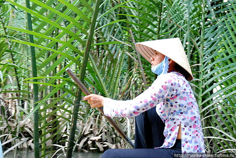 Прогулка на джонке Лонгсюен, Вьетнам