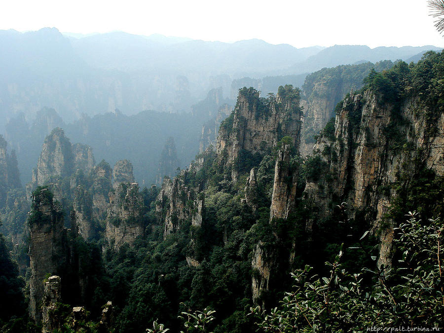 Тяньцзышань (горы Сына Неба) Чжанцзяцзе Национальный Лесной Парк (Парк Аватар), Китай
