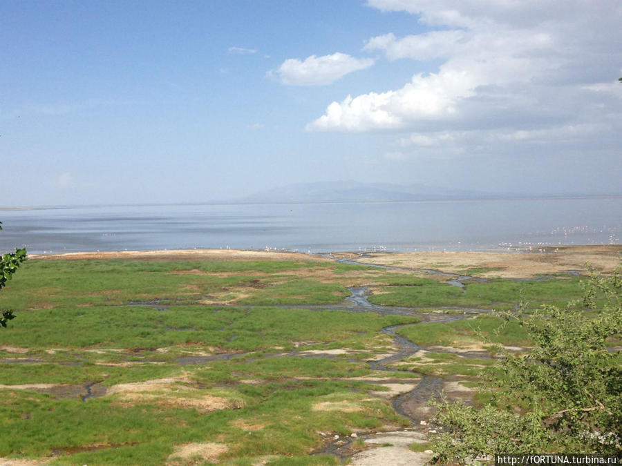 Национальный парк Озеро Маньяра Национальный парк Озеро Маньяра, Танзания