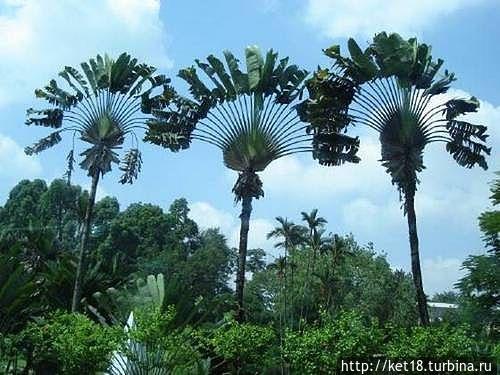 Отпуск Террачина, Италия Отпуск Террачина, Италия