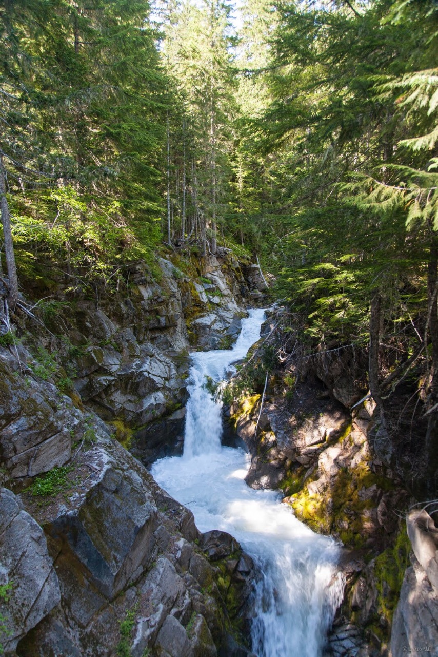 Национальный парк Rainier. Орегон-Вашингтон. Ч2