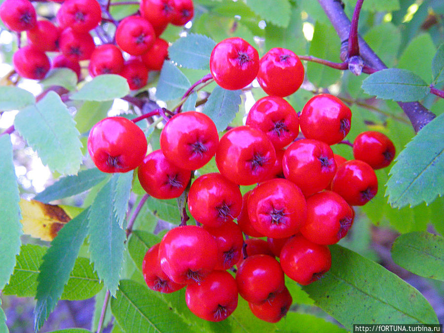 Мурманск Мурманск