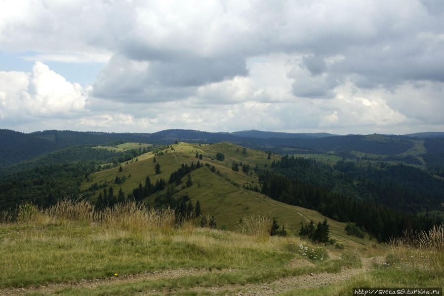 Путешествие по Карпатам. Август 2014. Часть первая Закарпатская область, Украина Путешествие по Карпатам. Август 2014. Часть первая Закарпатская область, Украина
