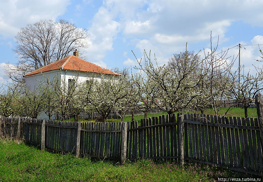 Орашац - место, где началось Первое сербское восстание