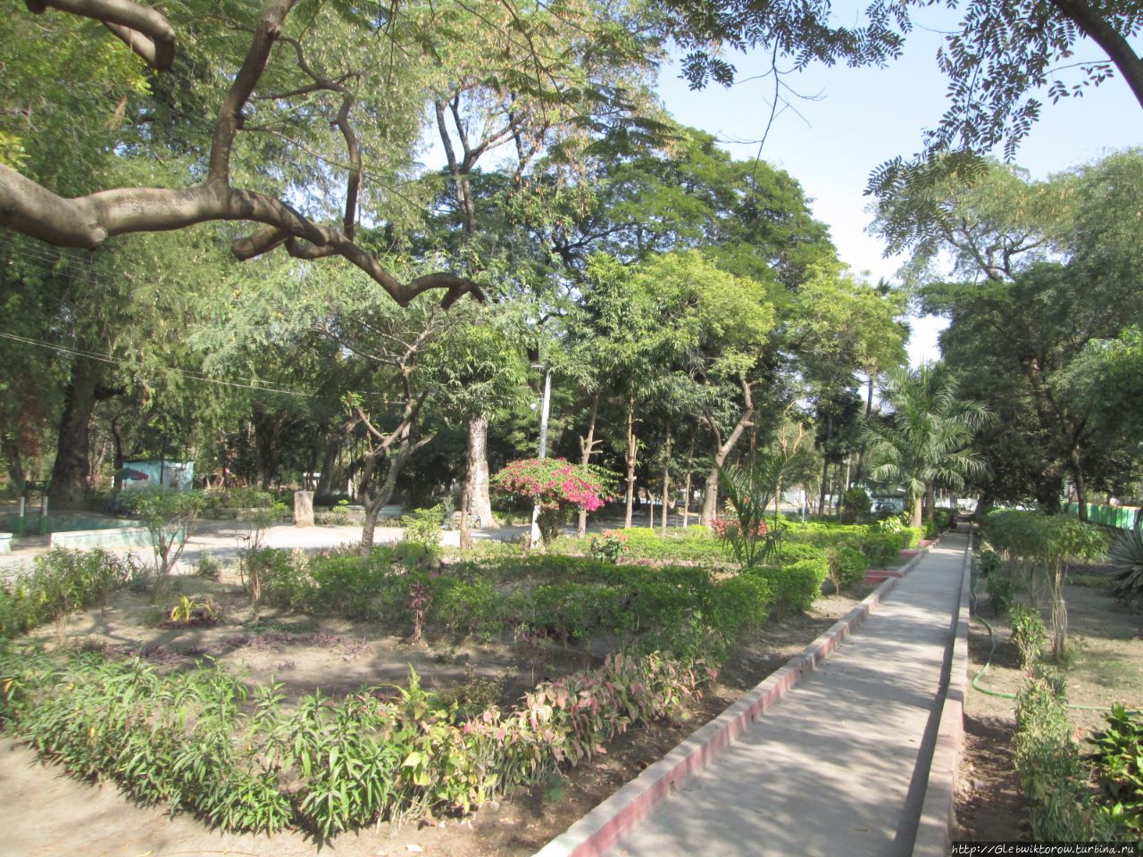 Ян Гуи Аунг Парк Шуэбо, Мьянма
