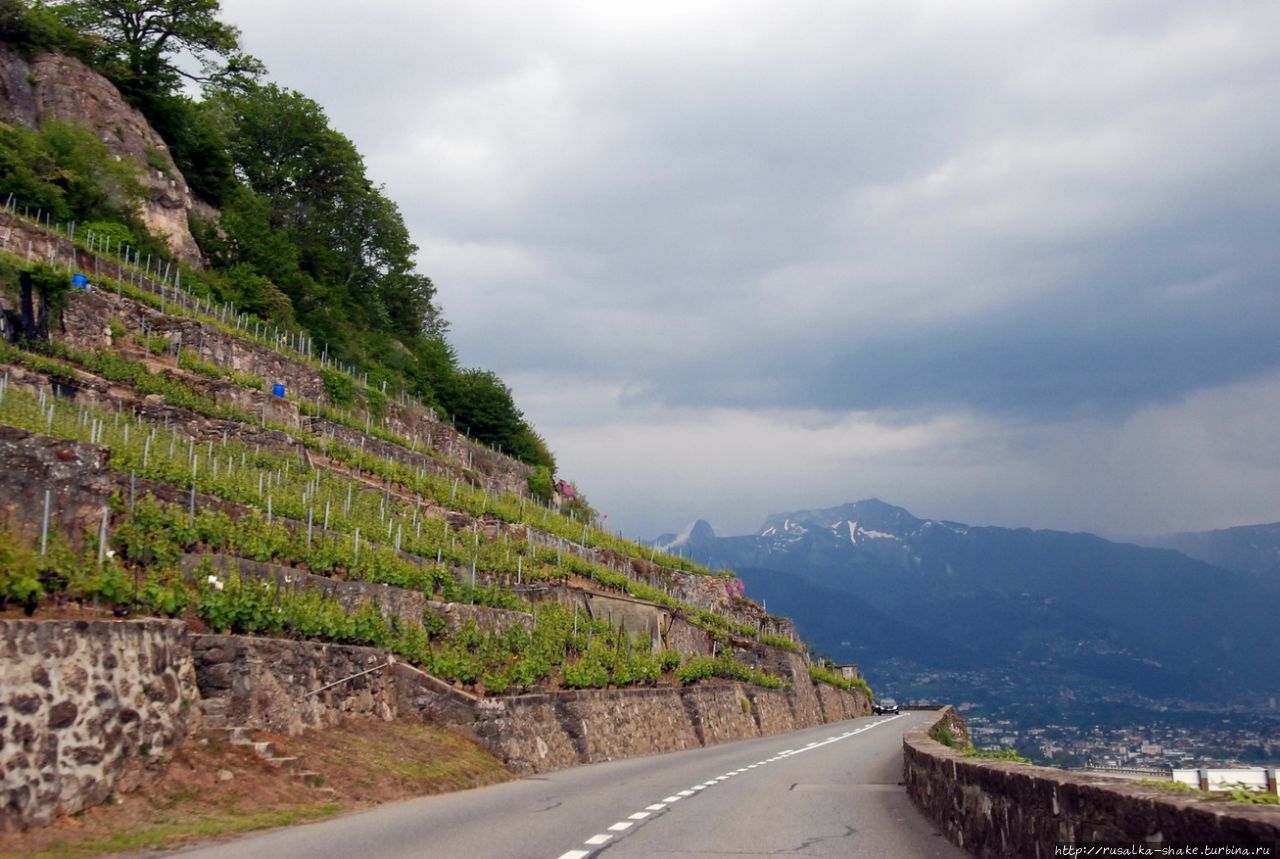 Виноградники Лаво / Lavaux