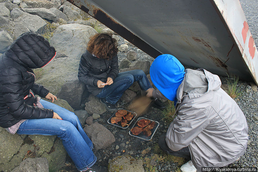 Под импровизированной крышей в ожидании обеда Под импровизированной крышей в ожидании обеда