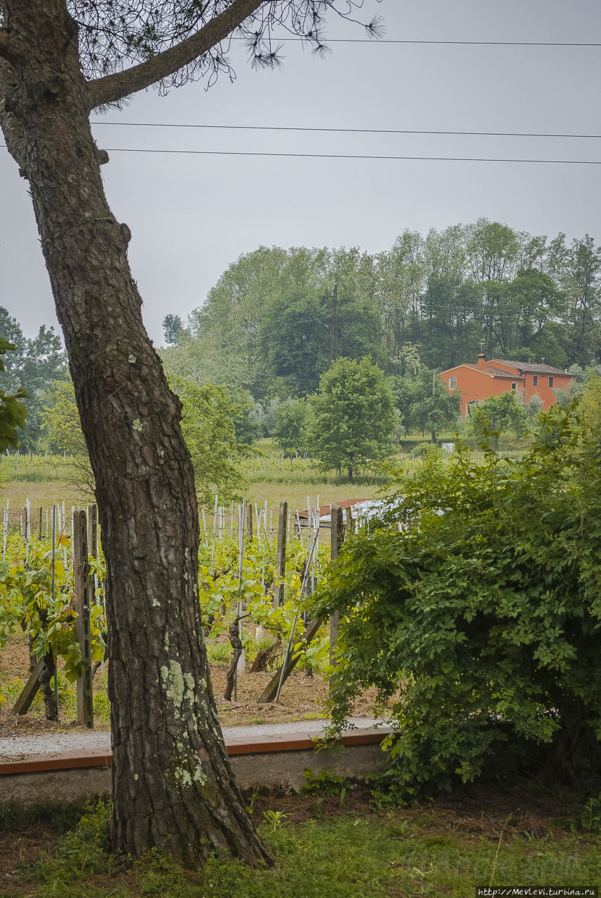 Локанда иль Форнелло / Locanda Il Fornello