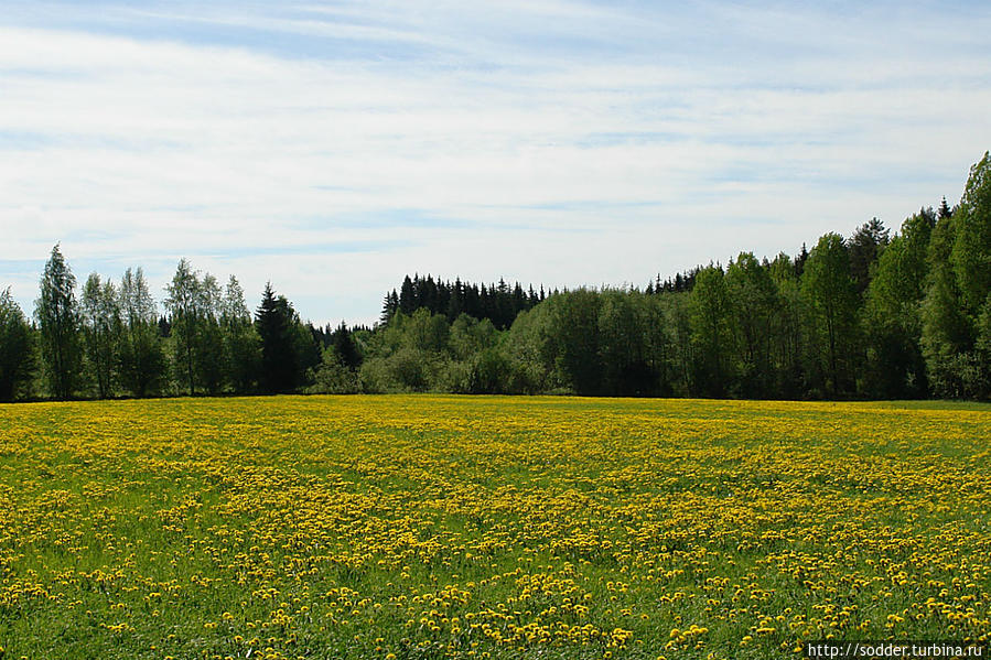 По дороге в парк Туомиоя Кангасниеми, Финляндия