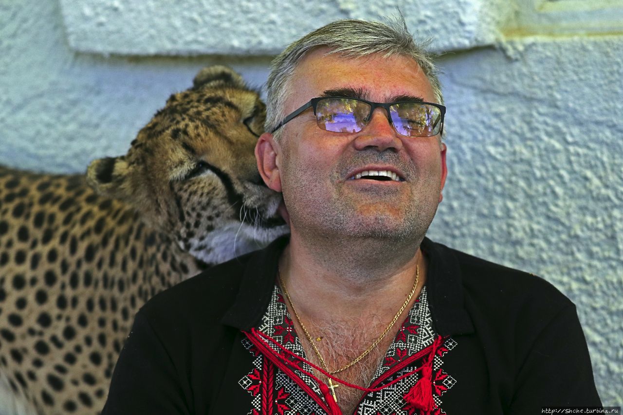 Ожитотонгве (ферма гепардов) Каманжаб, Намибия Ожитотонгве (ферма гепардов) Каманжаб, Намибия