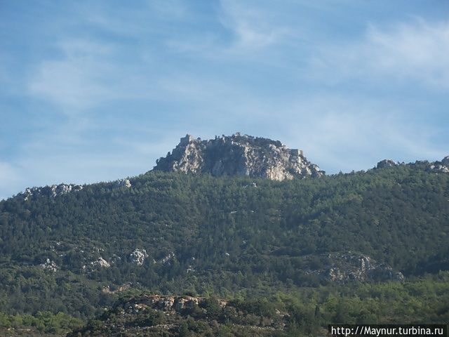 Снимок на прощание. Снимок на прощание.