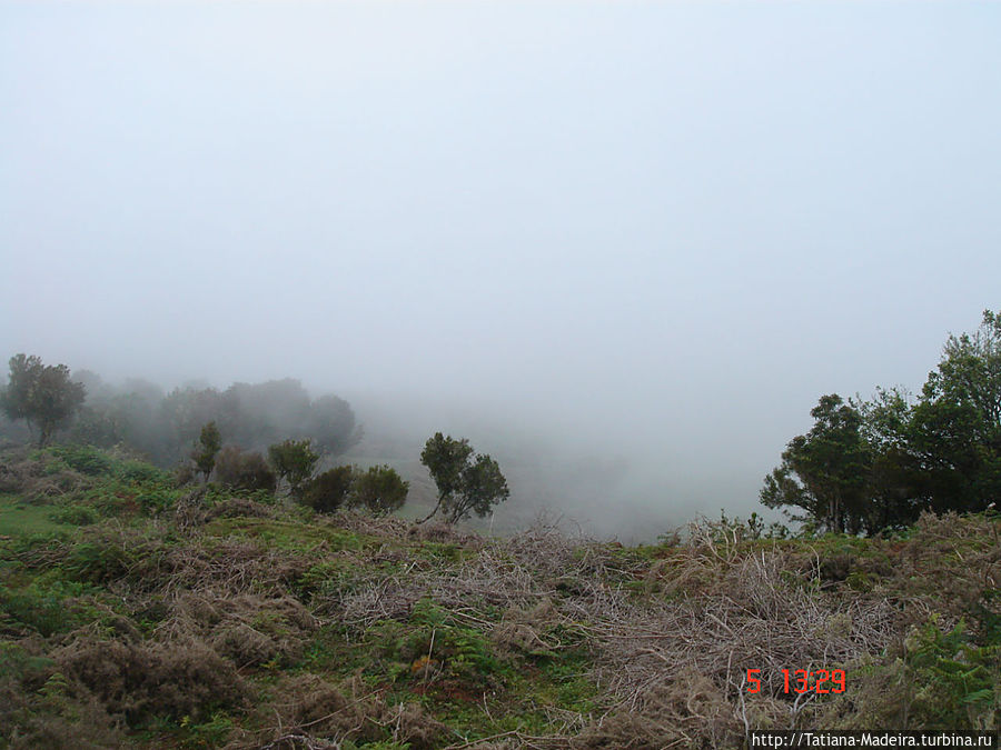 Мадейра в тумане. Облака у наших ног. Регион Мадейра, Португалия