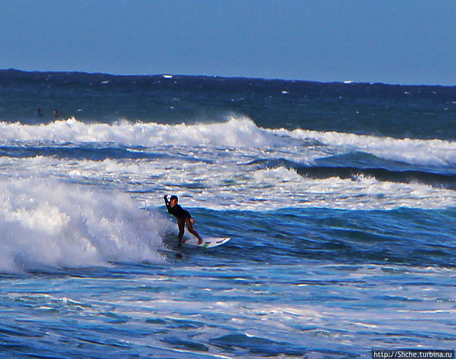 Девушки с доской, или серфинг — не только мужское занятие Папукеа, остров Оаху, CША