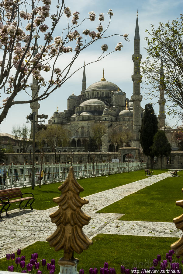 Вокруг Султана Ахмета Стамбул, Турция