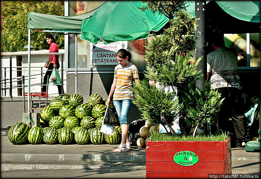 Выбирала, выбирала арбуз, но так и не выбрала Выбирала, выбирала арбуз, но так и не выбрала