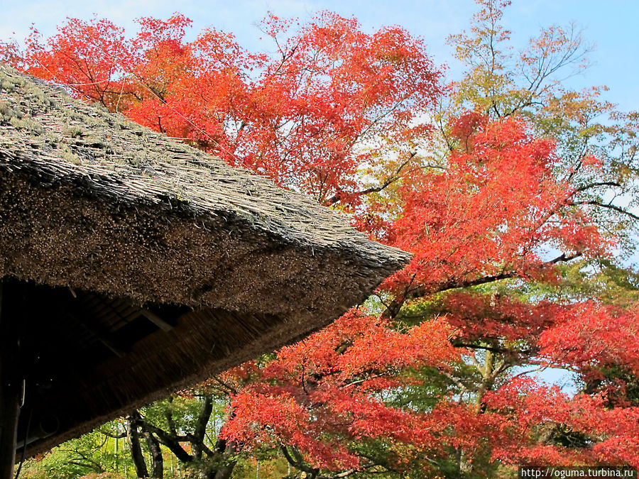 Арасияма, Киото Арасияма, Киото