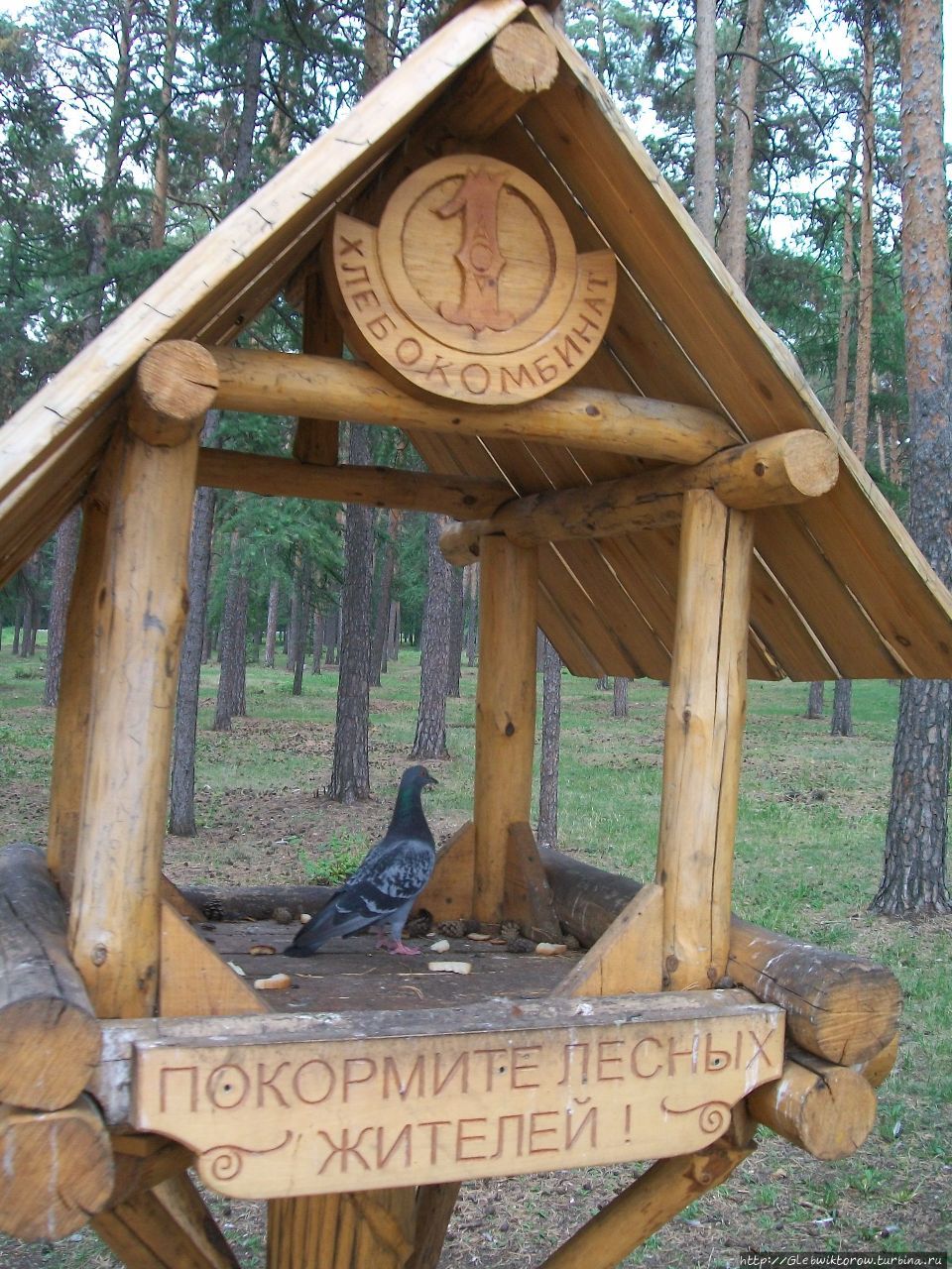 Центральный парк культуры и отдыха Челябинск, Россия