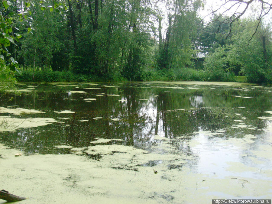 Музей Т-34 Шолохово, Россия