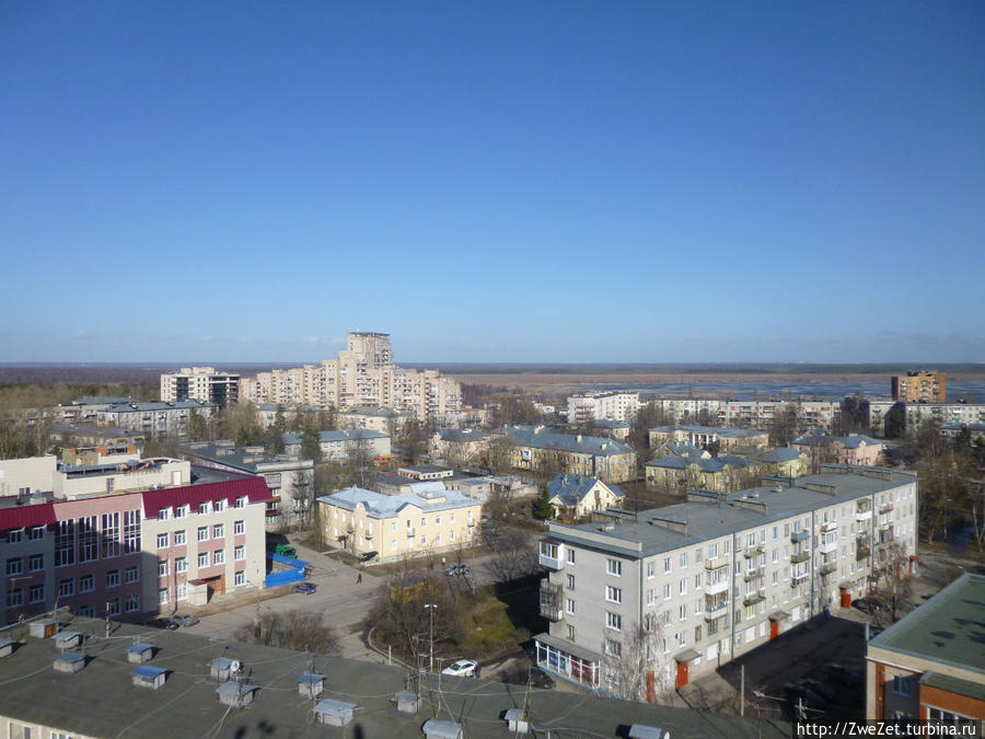 Под соснами Северной Ривьеры Сестрорецк, Россия