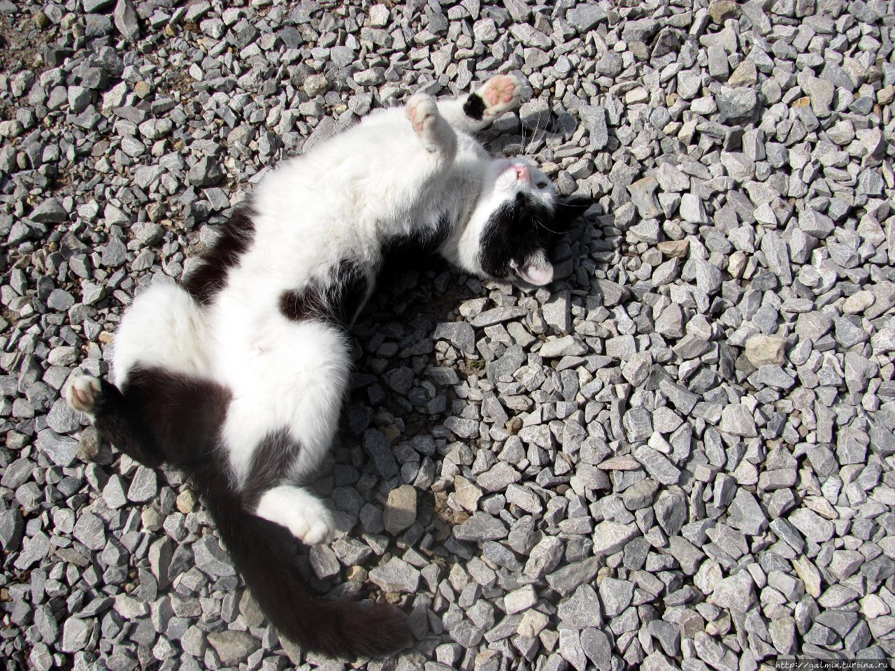 Прогулка по Ойцовскому парку. Краков, Польша Прогулка по Ойцовскому парку. Краков, Польша