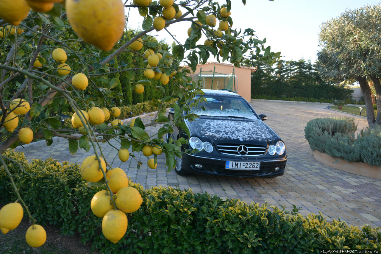 Все оттенки серого Все оттенки серого