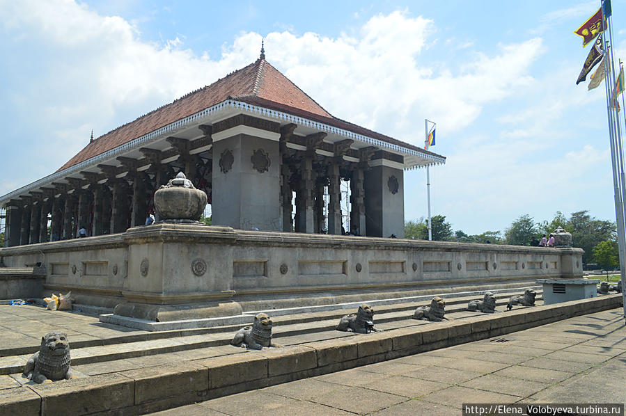 Неделя на Цейлоне Маравилла, Шри-Ланка