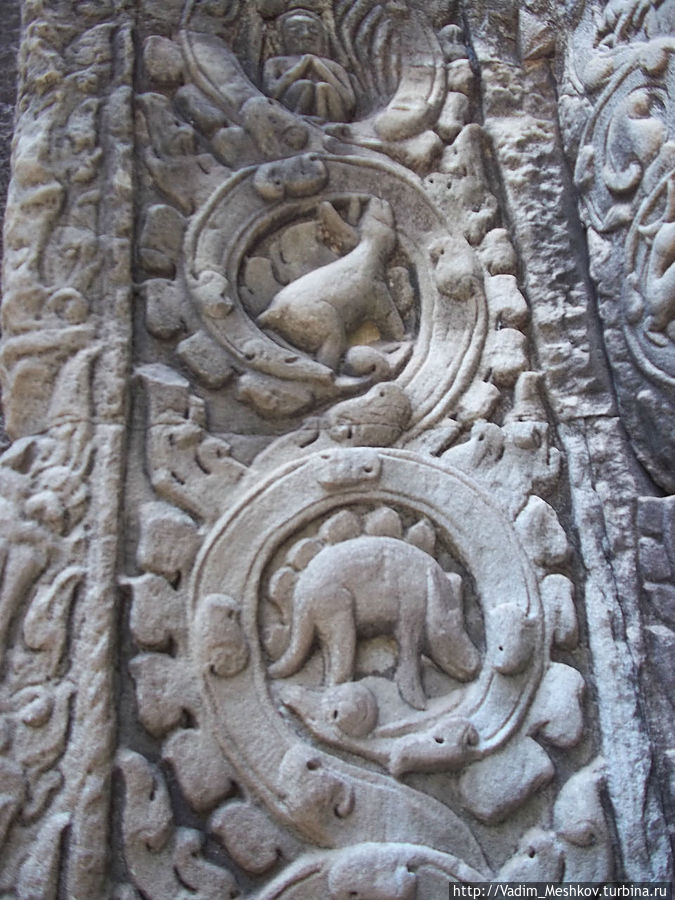 На барельефе в Ангкор-Ват изображен стегозавр. Ангкор (столица государства кхмеров), Камбоджа