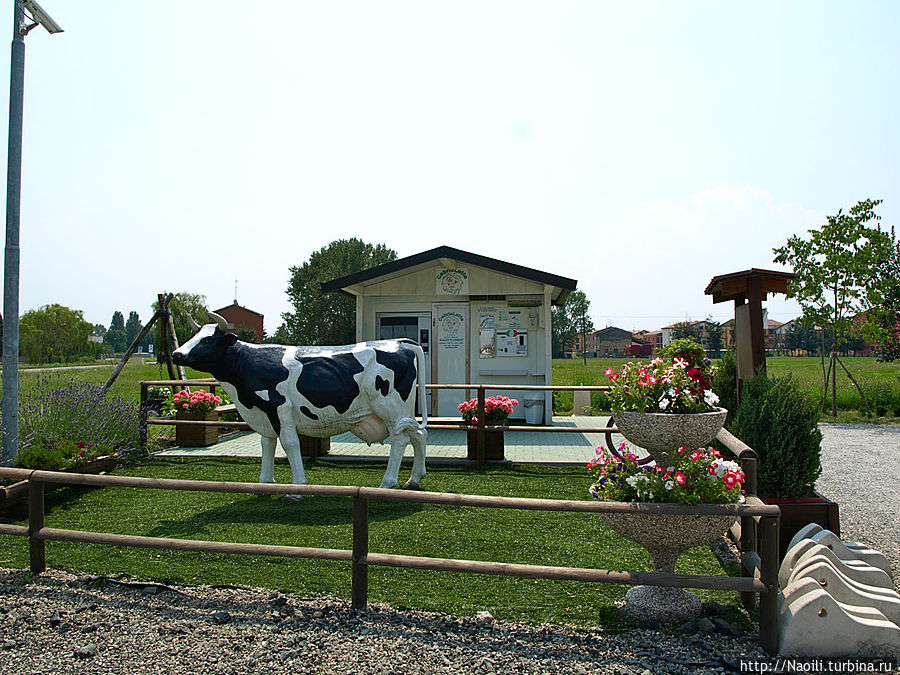 Автоматы по продаже натурального молока в Италии Фиденза, Италия