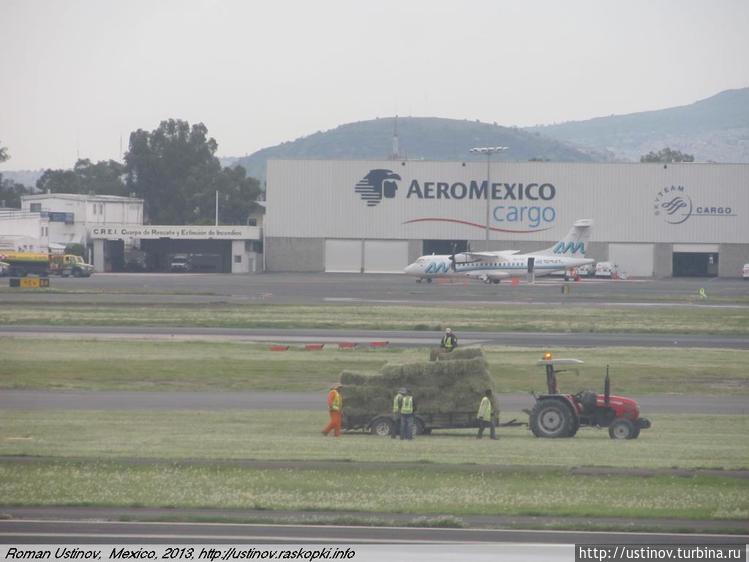 Мексиканцы — очень утилит Мексиканцы — очень утилит