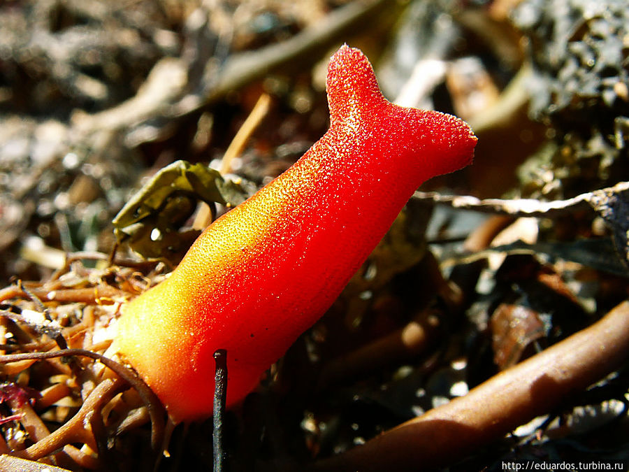 Владивосток — это далеко??? Владивосток, Россия Владивосток — это далеко??? Владивосток, Россия