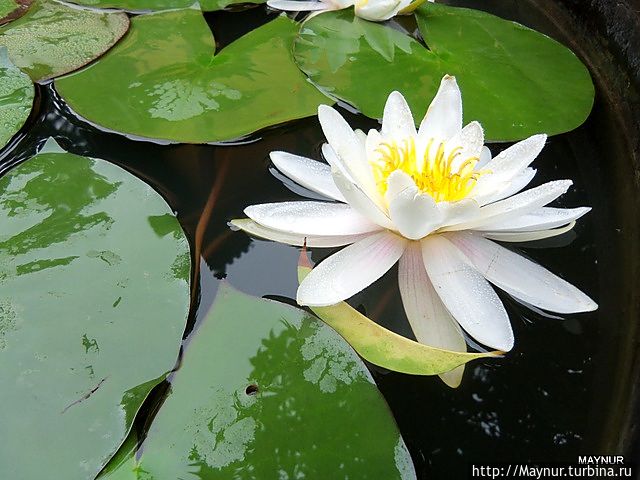 Природа и храмы Китая Китай Природа и храмы Китая Китай