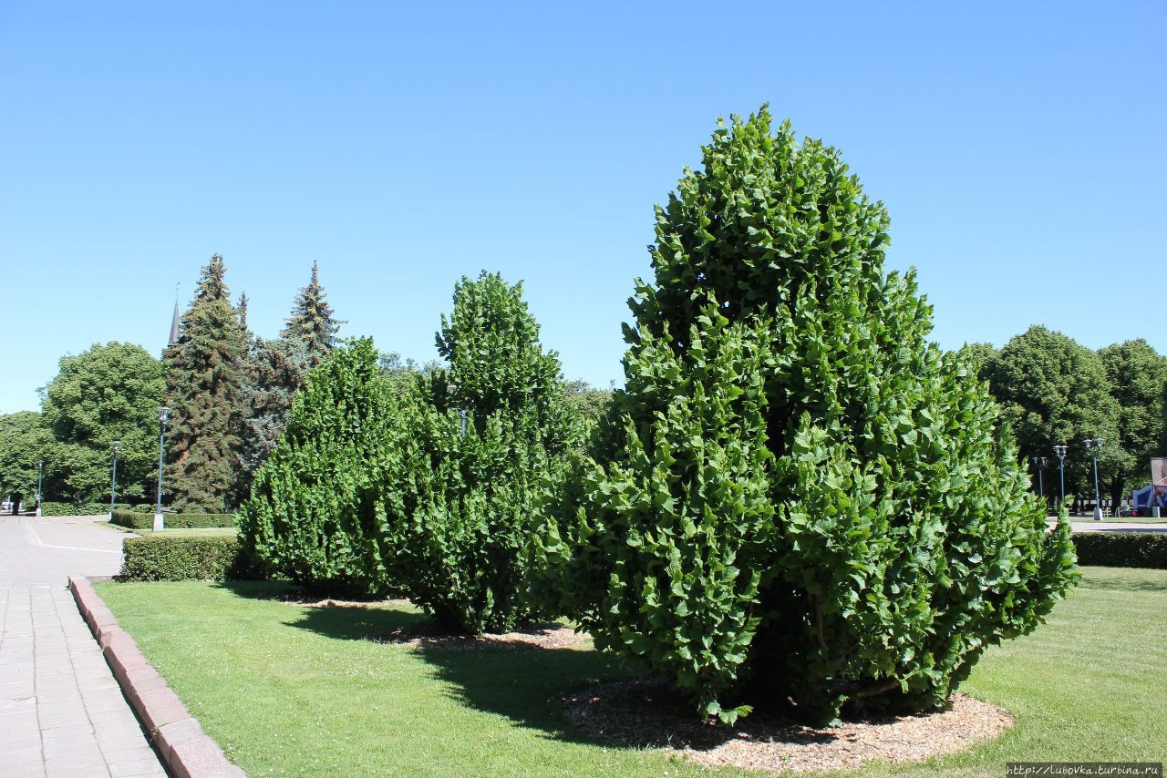 Зелёное сердце Риги Рига, Латвия Зелёное сердце Риги Рига, Латвия