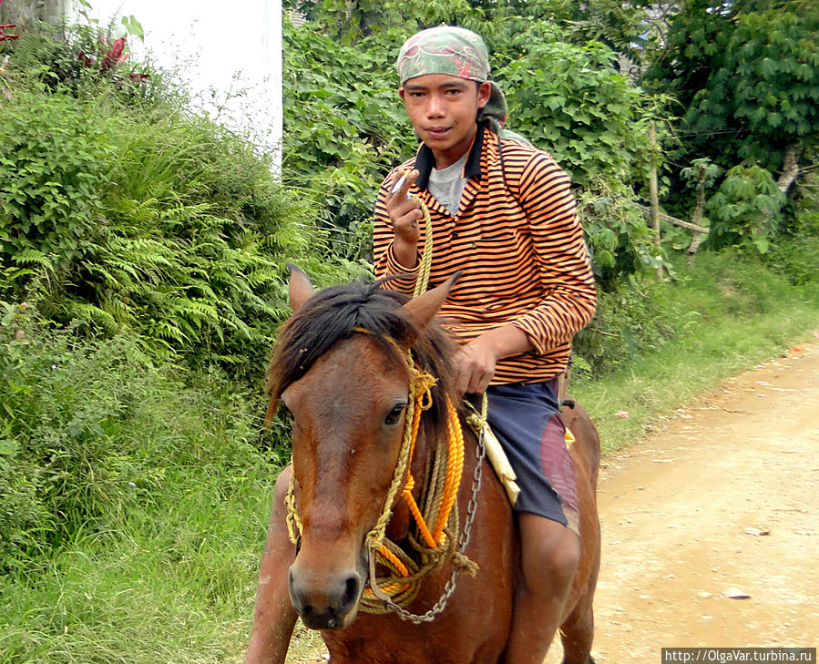 У молодежи постарше есть свои пристрастия: кто предпочитает коня живого... Остров Минданао, Филиппины
