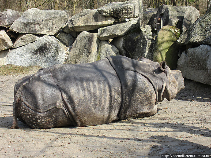 Зоопарк Хеллабрунн / Tierpark Hellabrunn